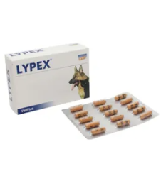 LYPEX 60 Capsule