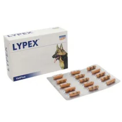 LYPEX 60 Capsule