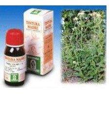 ACHILLEA 50ML TM SPECCHIASOL