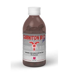 CARNITON B12 Pet 80 Cpr x Cani