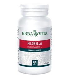 PILOSELLA 60 Cps 350mg     EBV