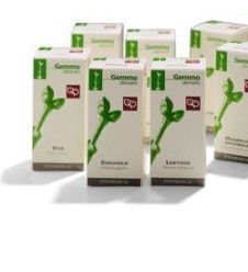 BETULLA VERRUCOSA GEMME50ML MG