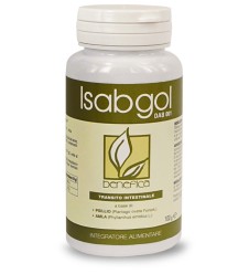 DAB 001 POLV ISABGOL 100G