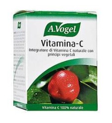 FdL Vitamina C 40 Past.41,5g