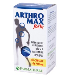 ARTHROMAX FORTE 30CPS