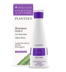 PLANTERS Shampoo Dolce Aloe Vera 200ml