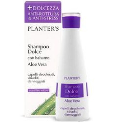 PLANTERS Shampoo Dolce Aloe Vera 200ml