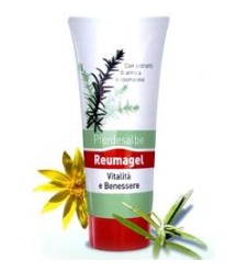 REUMAGEL PFERDESALBE GEL 200ML