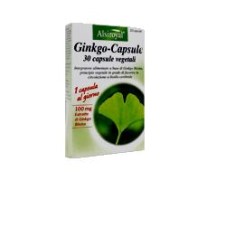 GINKGO CAPSULE 30CPS