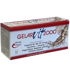 GELARVIT*2000 12fl.10ml