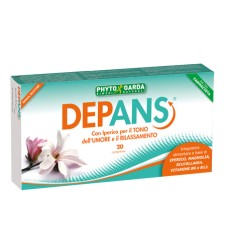 DEPANS 20 Cpr