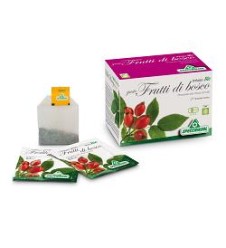 INFUSO Bio FruttaBosco 20F.SPE