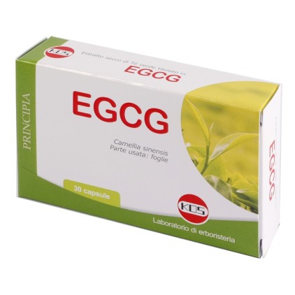 EGCG THE VERDE 30CPS NF