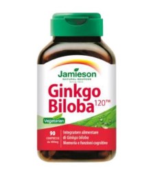 GINKGO BILOBA 120 TM 90CPR