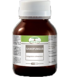 GANOFUNGUS 60CPS