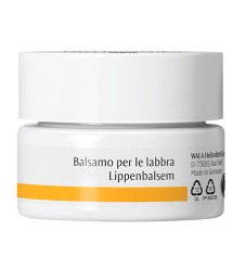 DR HAUSCHKA Bals.Labbra 4,5g