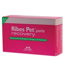 RIBES PET Recovery 60 Perle