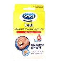 SCHOLL CER CALLIF TRATT R/PROT