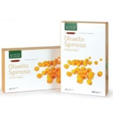 OLIVELLO SPINOSO BIO 20AB