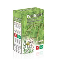 PUNTUALE 60 Cpr