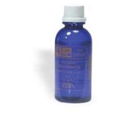 ACQUA OSSIGENATA 24VOL 100ML