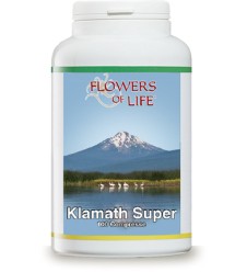 KLAMATH SUPER 100CPR FLOWERS