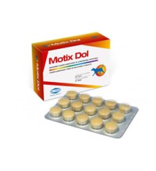 MOTIX DOL 60 Compresse 48g