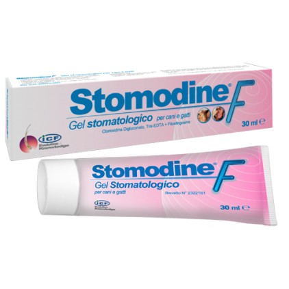 STOMODINE F Gel Stomatologico 30ml