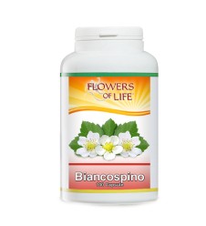 BIANCOSPINO 100CPS FLOWERS OF