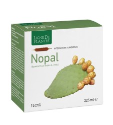 NOPAL 15 Amp.15ml NSE