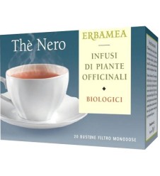 THE Nero Bust.Filtro EBM