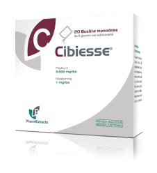 CIBIESSE 20 Bust.