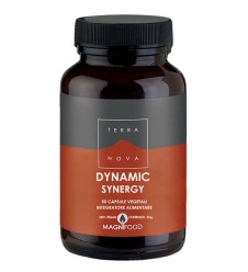 DYNAMIC SYNERGY 50CPS TERRANOV