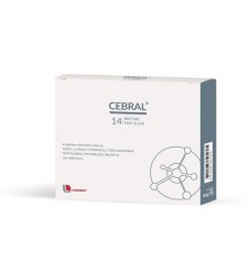 CEBRAL 14 Bust.