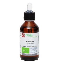 GINKGO BILOBA MG BIO 100ML