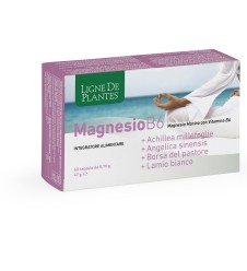 LIGNE MG B6+ACH+ANG+PAST+LAM