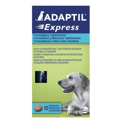 ADAPTIL 10 Cpr