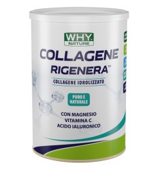 WHYNATURE COLLAGENE RIGEN 330G