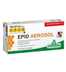 EPID Aerosol 10 fiale 2ml