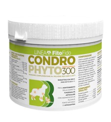 CONDROPHYTO POLVERE 300G