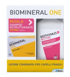 BIOMINERAL ONE LACTOCAPIL+SH D