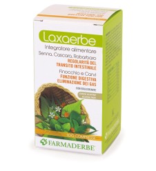 LAXAERBE 100CPR 53,3G