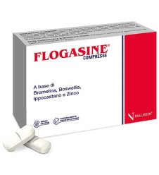 FLOGASINE 20 COMPRESSE