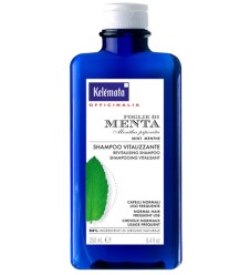 SHAMPOO MENTA 250ML