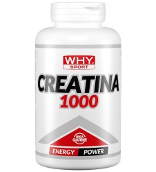 WHYSPORT CREATINA 1000 240CPR