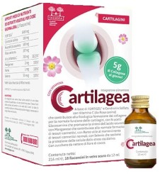 SALUGEA CARTILAGEA 18Fl.