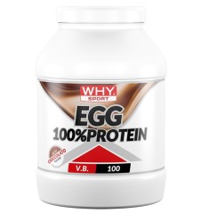 WHYSPORT EGG 100% PROTEIN CIOC