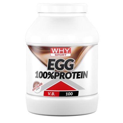 WHYSPORT EGG 100% PROTEIN CIOC