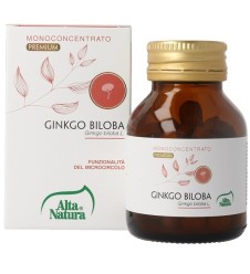 GINKGO BILOBA 100CPR 900MG