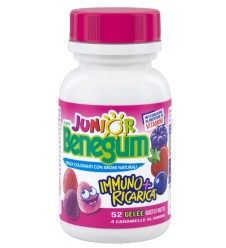 BENEGUM J Immuno+Ric.Frutta